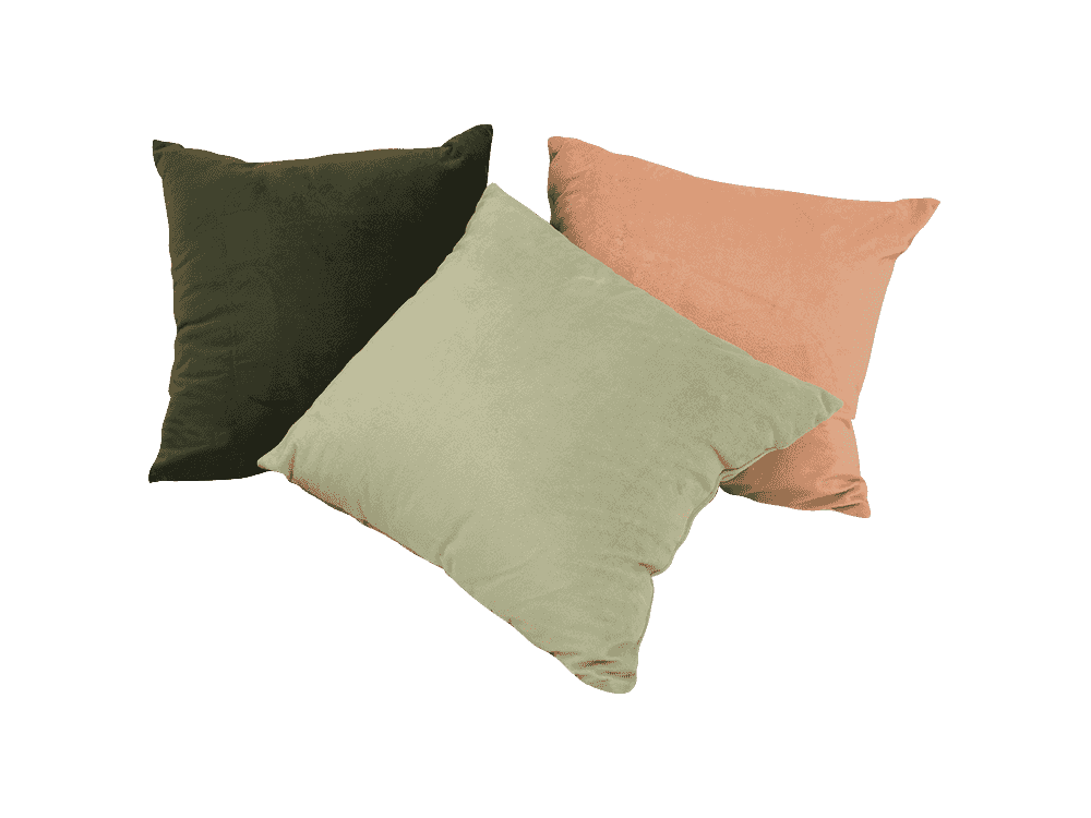 Coussins de maison en peluche courte